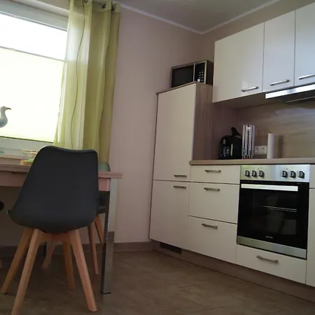 Muschel 1 * Graal-Mueritz